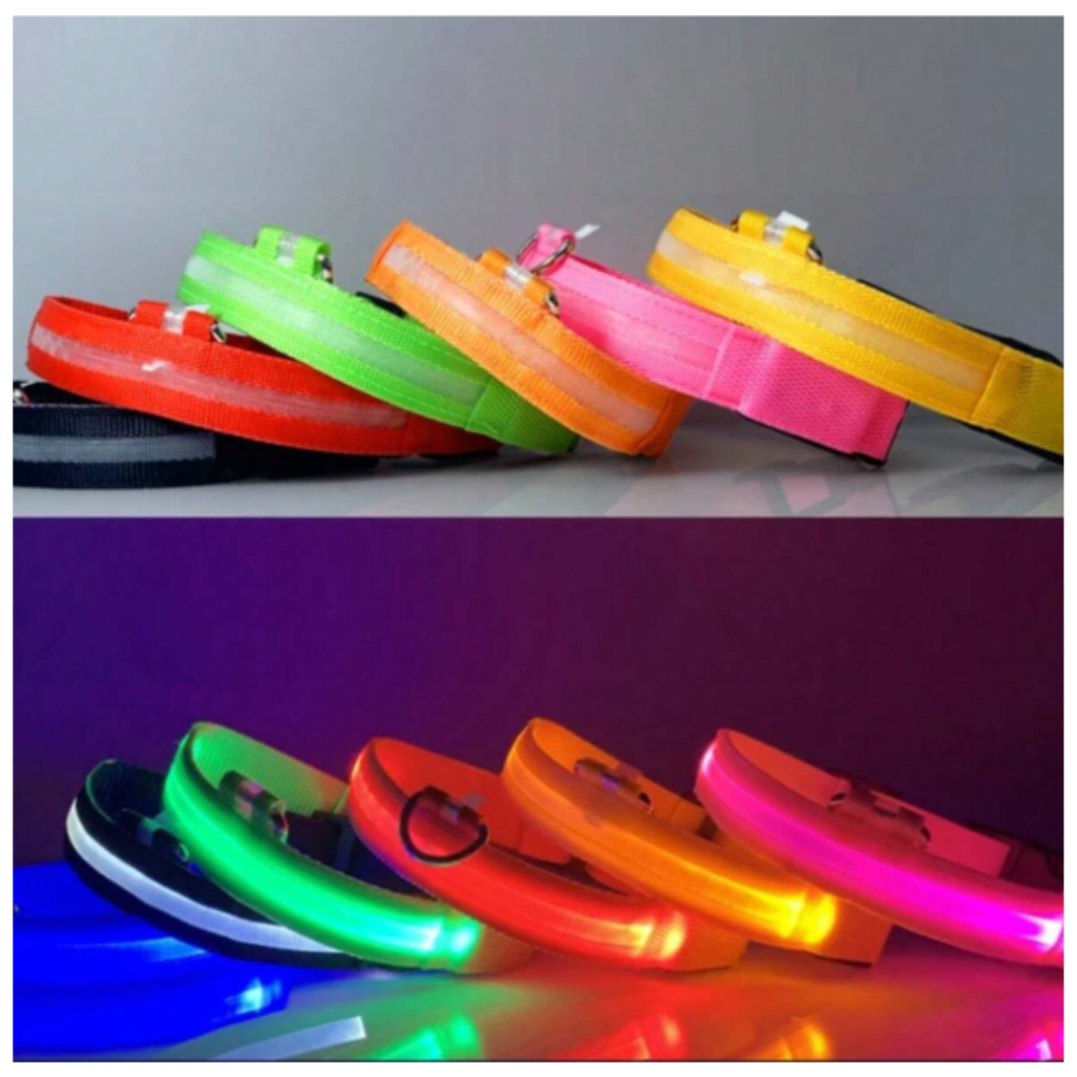 🌙🐾 NoctiLuz® — Collar LED Recargable para Mascotas que Brillan en la Oscuridad